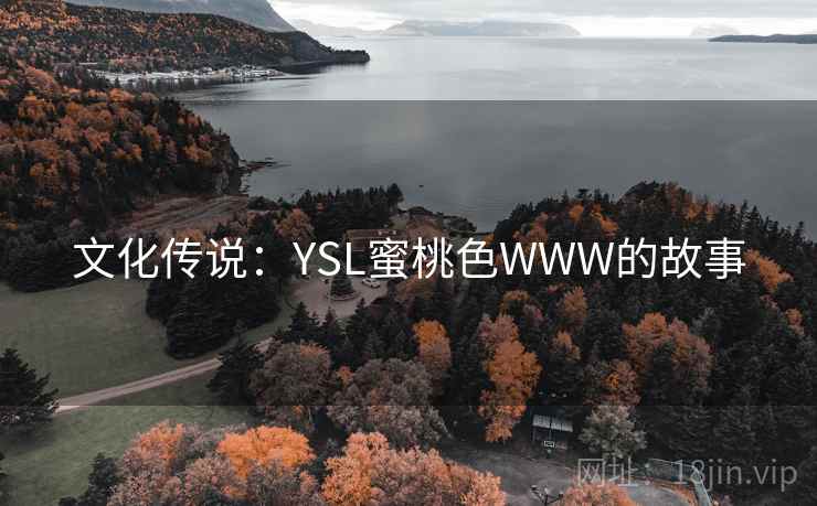文化传说：YSL蜜桃色WWW的故事  第2张
